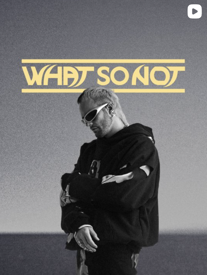 What So Not event poster creative for The Beaches